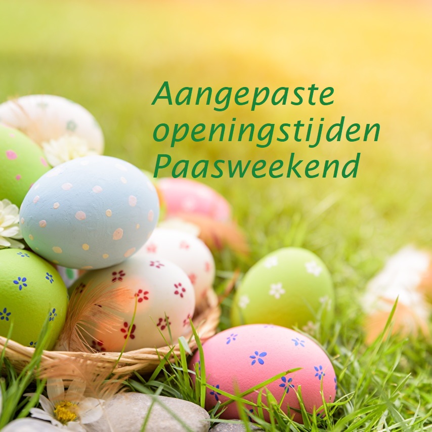 Easter Eggs Grass Multicolor 581149 1280x854