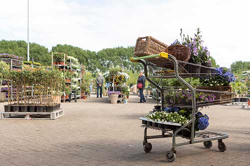 De Bergse Plantenmarkt gaat verder als De Groene Loods op een nieuwe locatie!